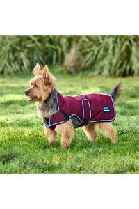 2025 Weatherbeeta Comfitec Premier Deluxe Waterproof Dog Coat 1028800 - Burgundy
